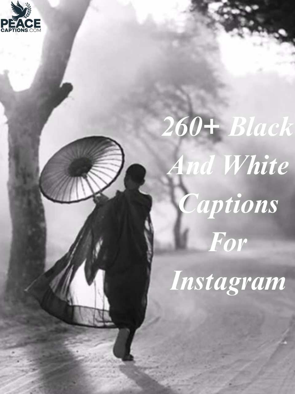 260+ Black And White Captions For Instagram to Inspire Your Posts