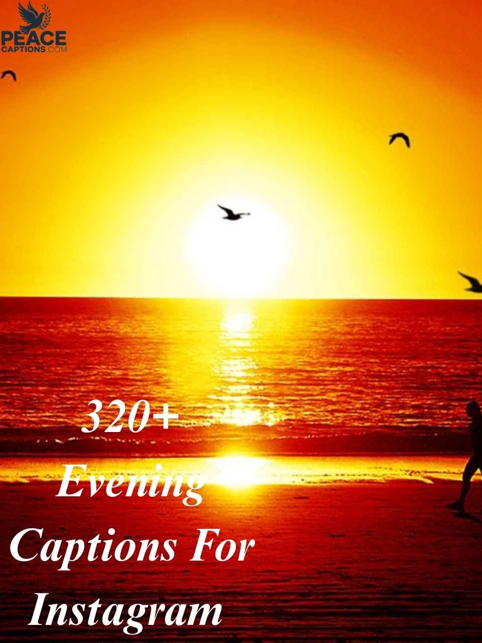 320+ Evening Captions For Instagram to Brighten Your Feed