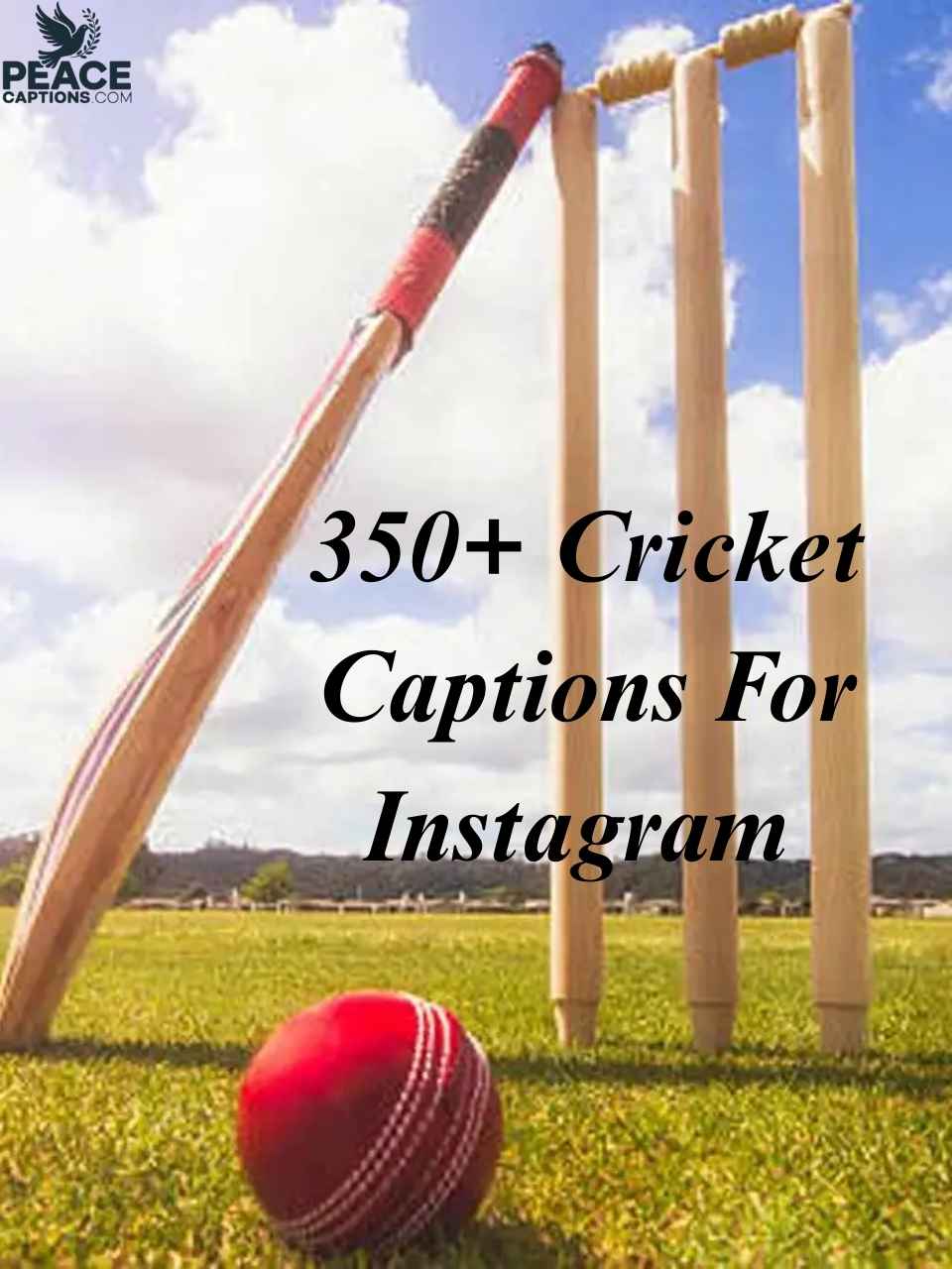 350+ Cricket Captions For Instagram That Hit It Out of the Park