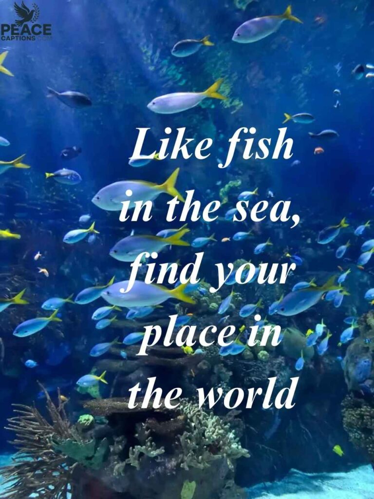 Inspirational Aquarium Captions for Social Media