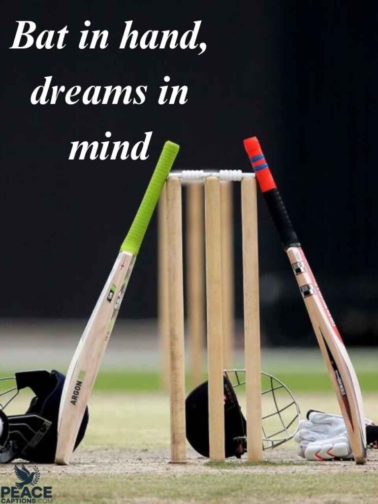 Short and Sweet Cricket Captions